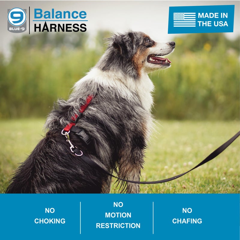 Blue-9 Buckle-Neck Balance Harness, Fully Customizable Fit No-Pull Harness, Ideal for Dog Training and Obedience, Made in The USA, Purple, Medium - Image 3